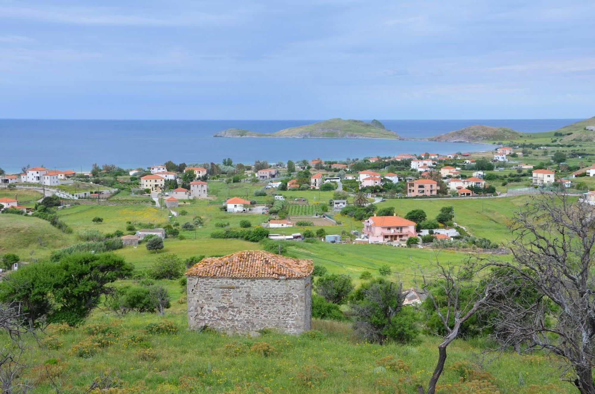 Hotel Dina - Ξενοδοχείο Ντινα プラティ エクステリア 写真