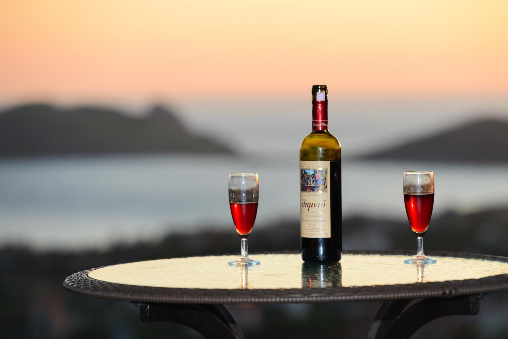 Hotel Dina - Ξενοδοχείο Ντινα プラティ エクステリア 写真