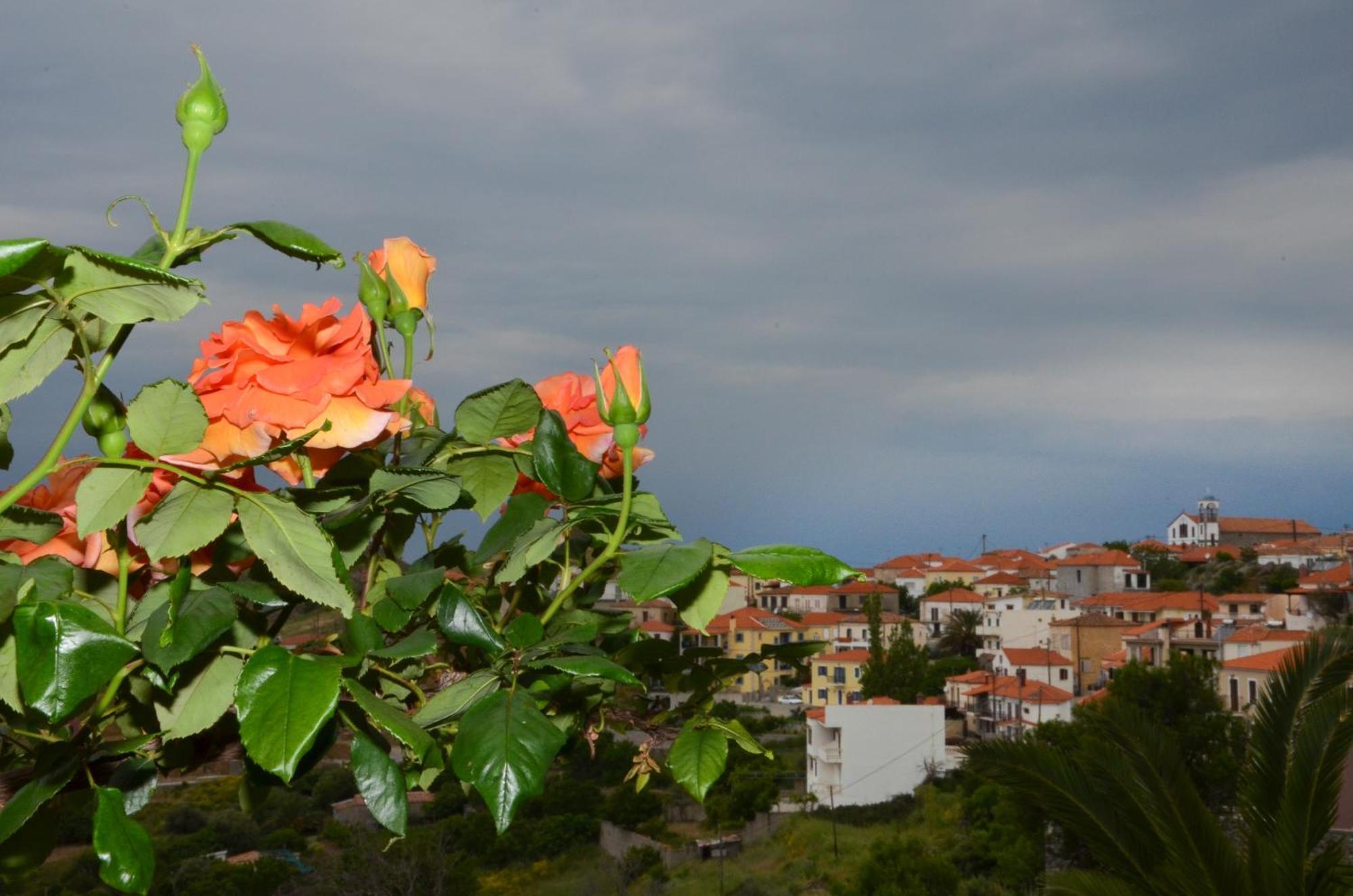 Hotel Dina - Ξενοδοχείο Ντινα プラティ エクステリア 写真
